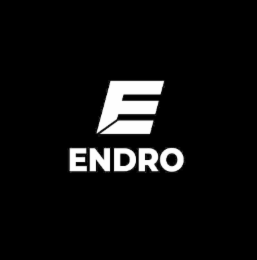 E ENDRO logo