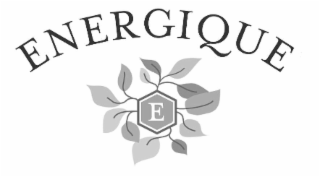 E ENERGIQUE logo