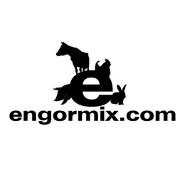 E ENGORMIX.COM logo