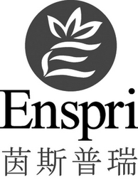 E ENSPRI logo