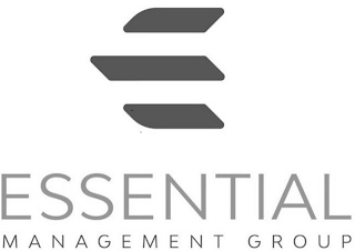 E ESSENTIAL MANAGEMENT GROUP logo