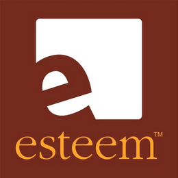 E ESTEEM logo
