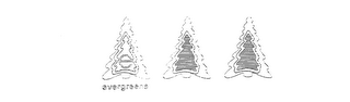 E EVERGREENS