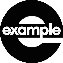 E EXAMPLE logo