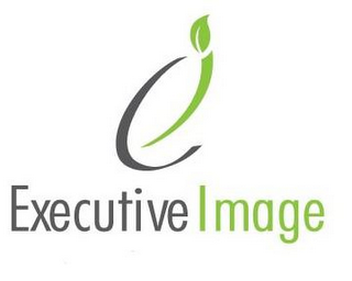 E EXECUTIVE IMAGE logo