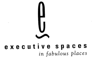 E EXECUTIVE SPACES IN FABULOUS PLACES logo