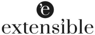 'E EXTENSIBLE logo