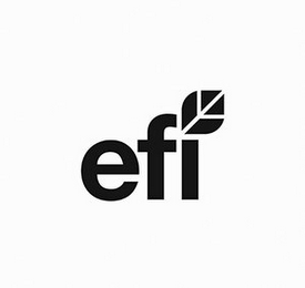 E F I logo