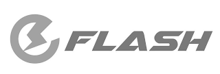 E FLASH logo