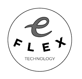 E FLEX TECHNOLOGY logo
