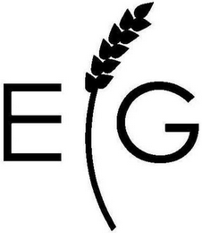 E G logo