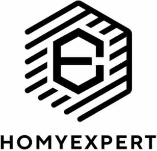 E HOMYEXPERT logo