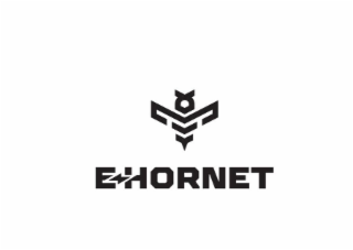 E-HORNET logo