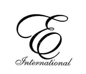 E INTERNATIONAL logo