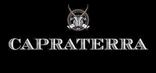 E J CAPRATERRA logo