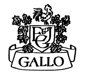 E & JG GALLO logo