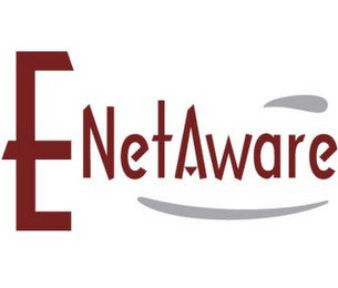 E-NETAWARE logo