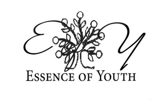 E OF Y ESSENCE OF YOUTH logo