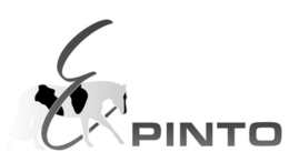 E PINTO logo