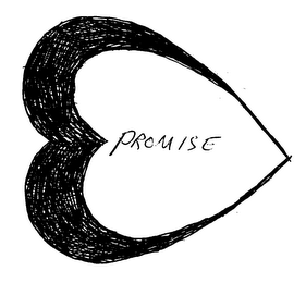 E PROMISE logo