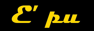 E' PU logo