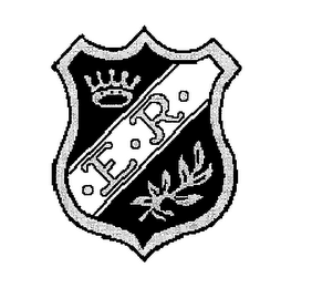 E R logo