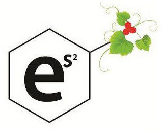 E S 2 logo