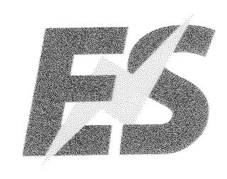 E S logo