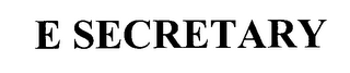 E SECRETARY logo