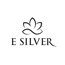 E SILVER logo