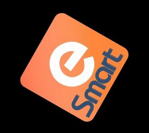 E SMART logo