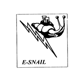 E-SNAIL logo