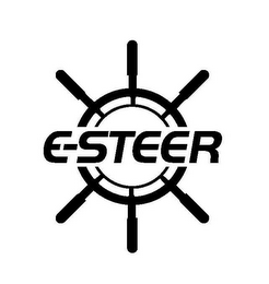 E-STEER logo