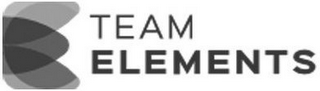 E TEAM ELEMENTS logo