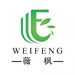 E WEIFENG logo
