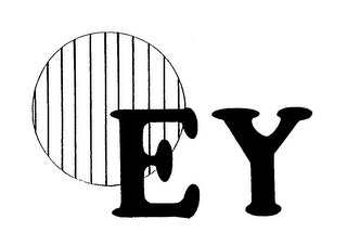 E Y logo