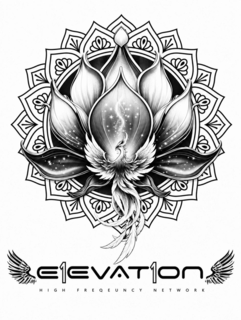 E1EVAT1ON HIGH FREQEUNCY NETWORK logo