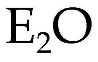 E20 logo