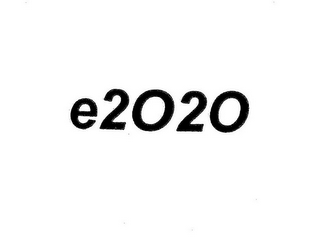E2020 logo