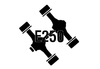 E250 logo