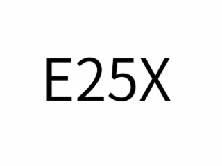 E25X logo