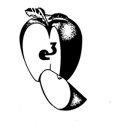 E3 logo