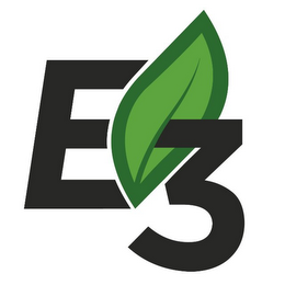 E3 logo