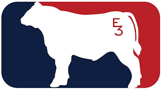 E3 logo