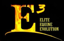 E3 ELITE EQUINE EVOLUTION logo