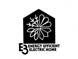 E3-ENERGY EFFICIENT ELECTRIC HOME logo