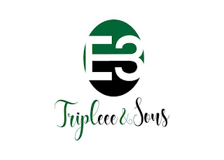 E3 TRIPLEEEE AND SONS logo