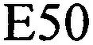 E50 logo