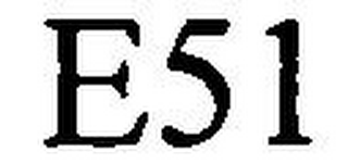 E51 logo