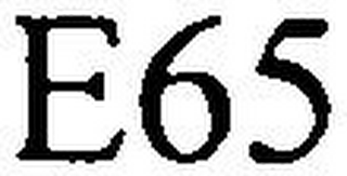 E65 logo